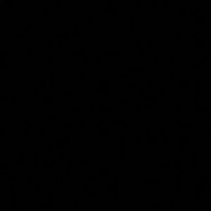 Meet your Posher, Iris